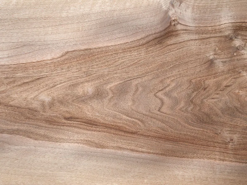 0,9mm Nussbaum europ&auml;isch Furnier