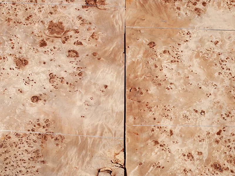 0,6mm Pappel Maser Furnier