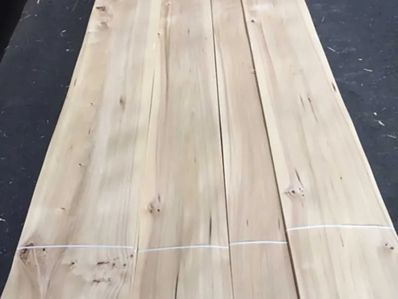 0,9mm R&uuml;ster/Ulme astig/rustikal Furnier