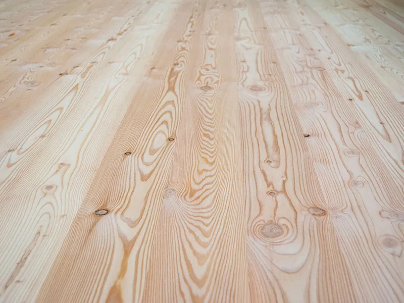 19mm L&auml;rche europ. 3-S  A/B 5,00m