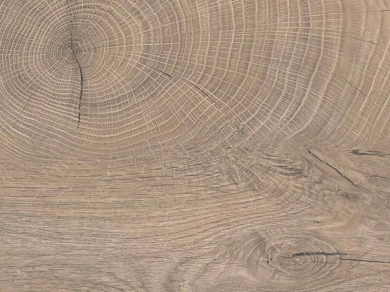 Kaindl Boards Produktkatalog.