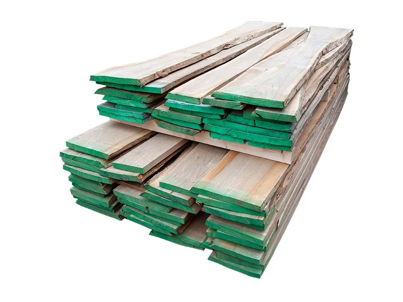 40mm R&uuml;ster/Ulme Stammware KD