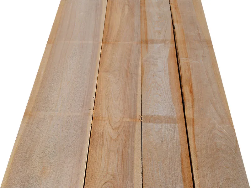 52mm R&uuml;ster/Ulme unged&auml;mpft par. bes&auml;umt